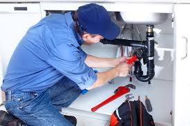 Best Trenchless Pipe Repair  in Lockney, TX